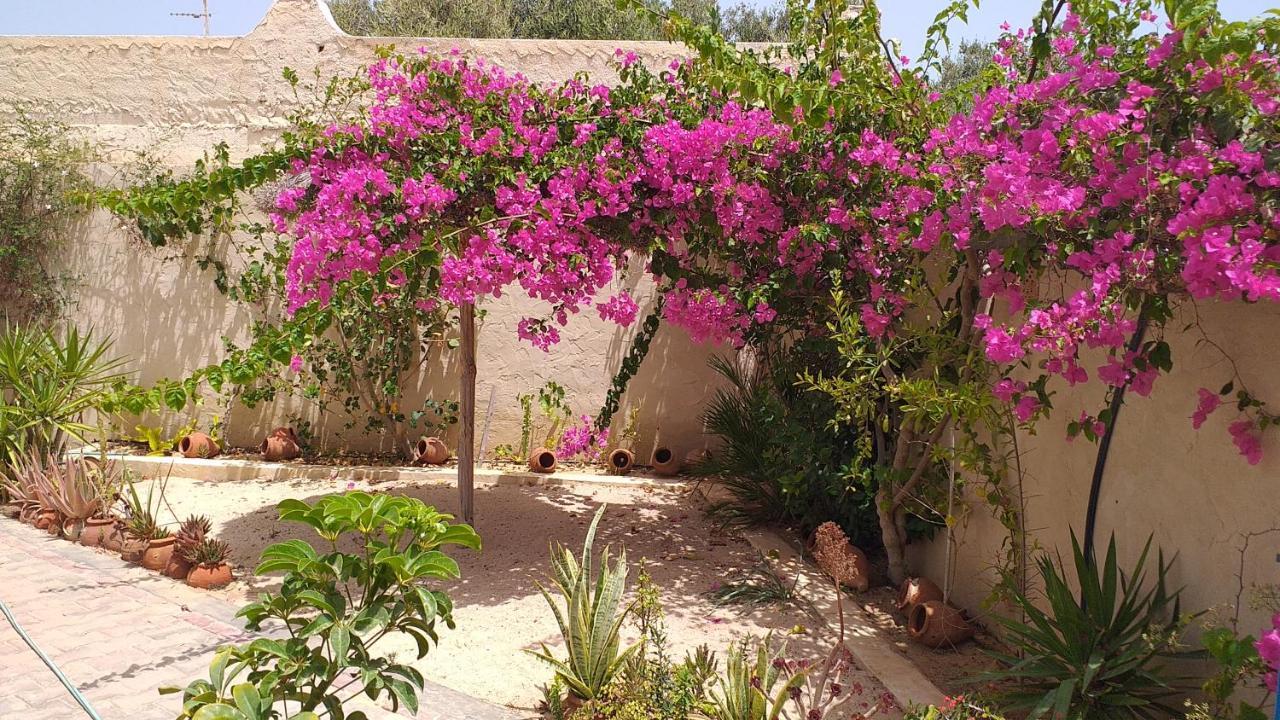 Dar Janis Djerba دار يانيس جربة Apartment Houmt Souk  Exterior photo